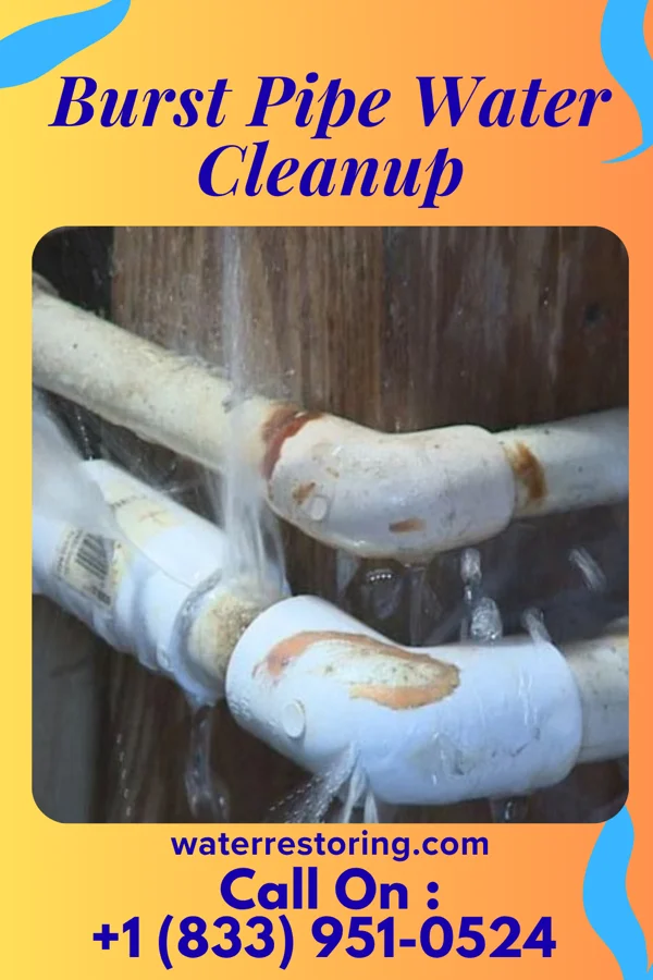 Burst Pipe Water Cleanup in Stewardson, IL