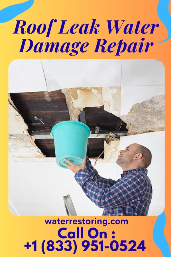 Roof Leak Water Damage Repair in Stewardson, IL
