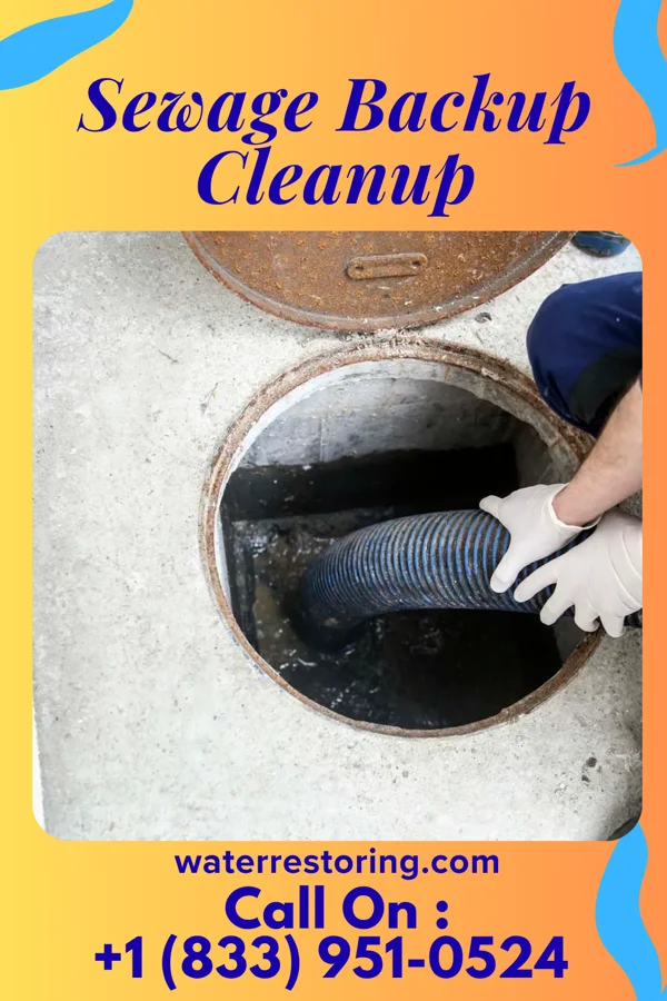 Sewage Backup Cleanup in Stewardson, IL