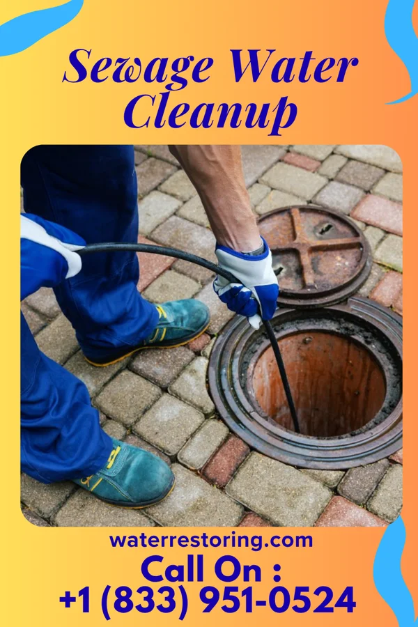 Sewage Water Cleanup in Stewardson, IL